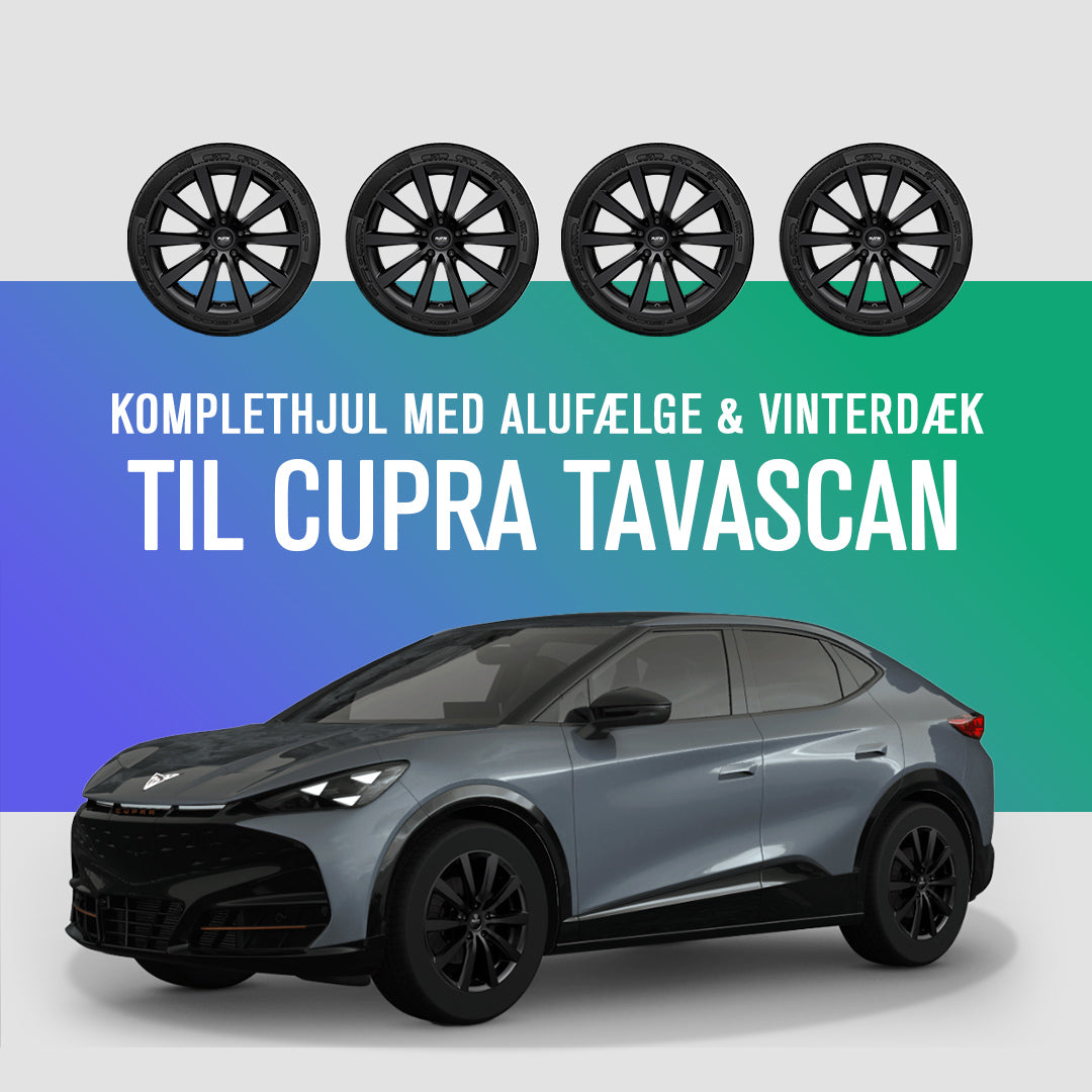 19" Komplethjul med vinterdæk - Cupra Tavascan