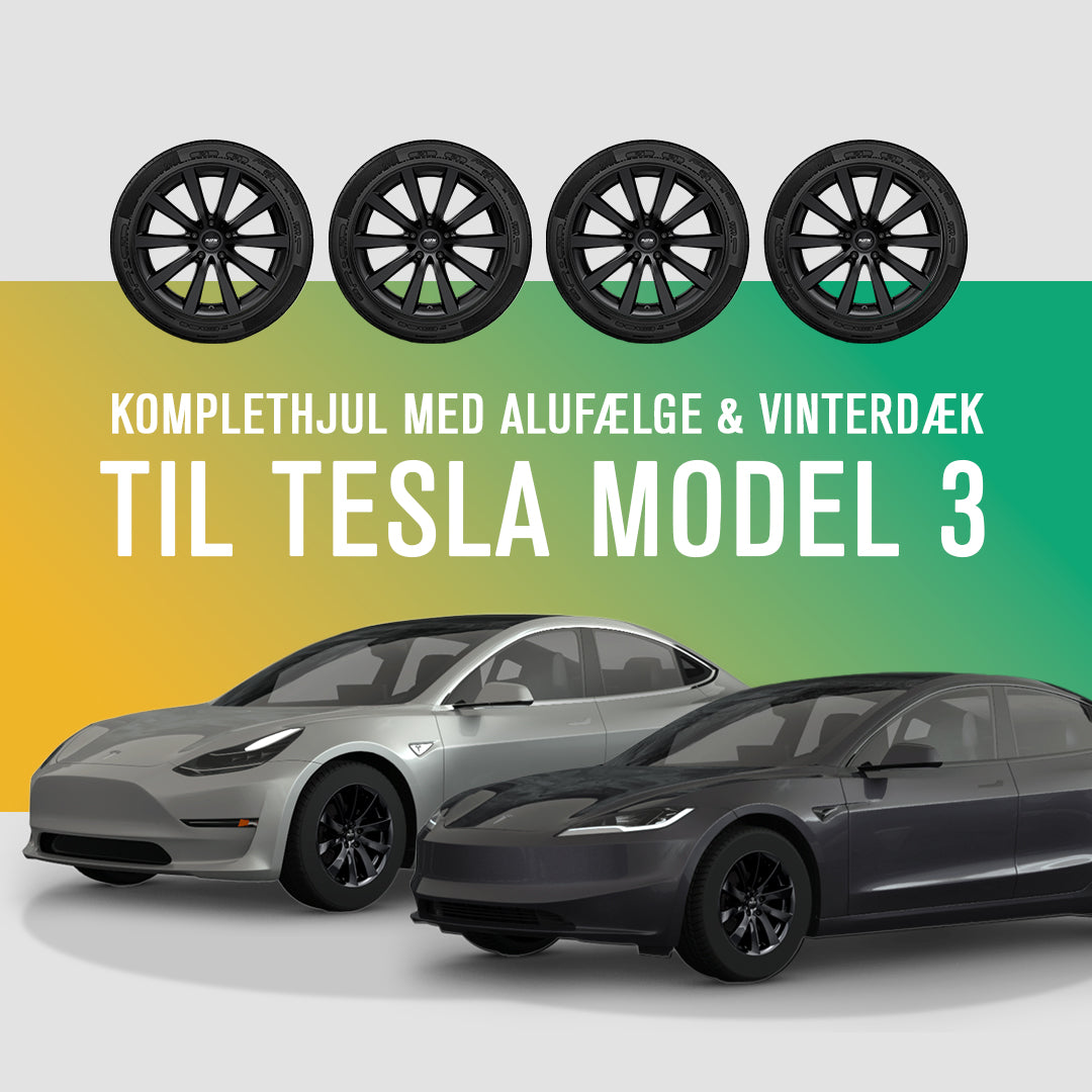Komplette 19" vinterhjul med Platin P106 alufælge og dæk til Tesla Model 3.