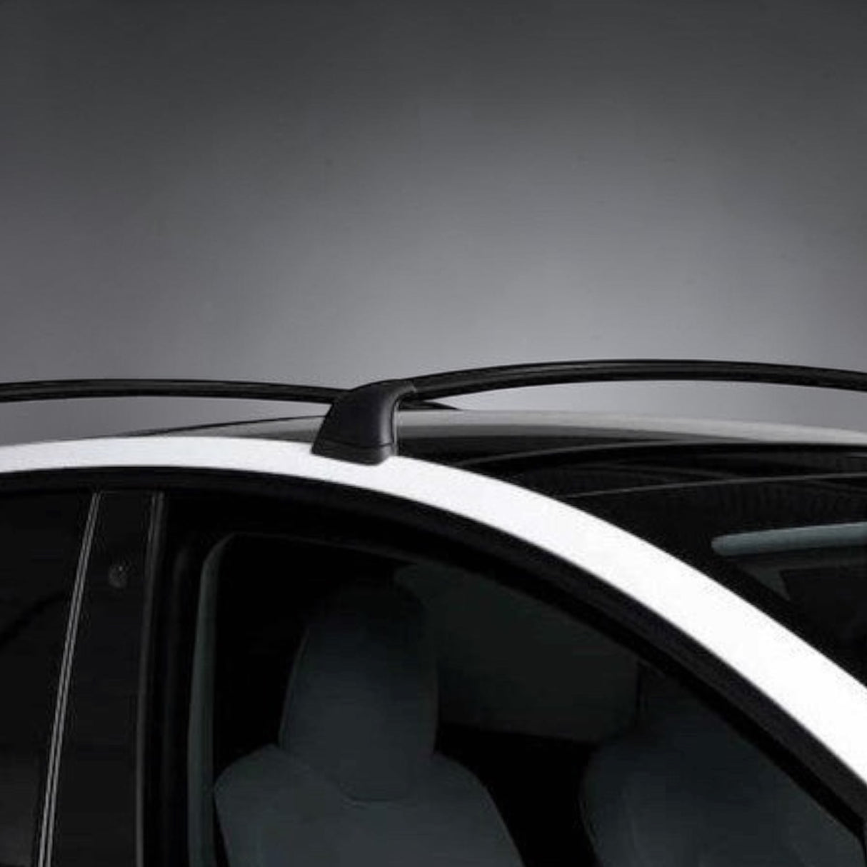 Tagbøjler - Passer til Tesla Model 3/Y