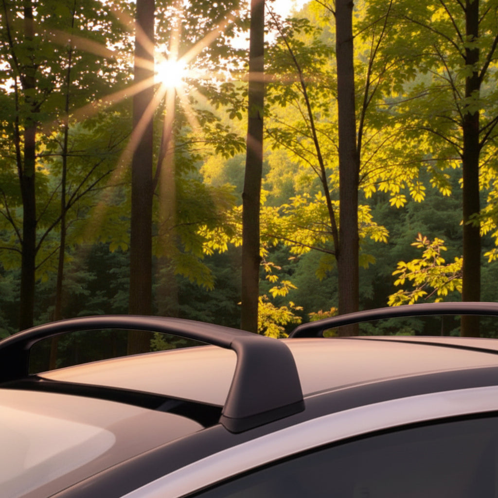 Sorte Tesla tagbøjler monteret på taget af en Tesla, med en skov og sol som baggrund