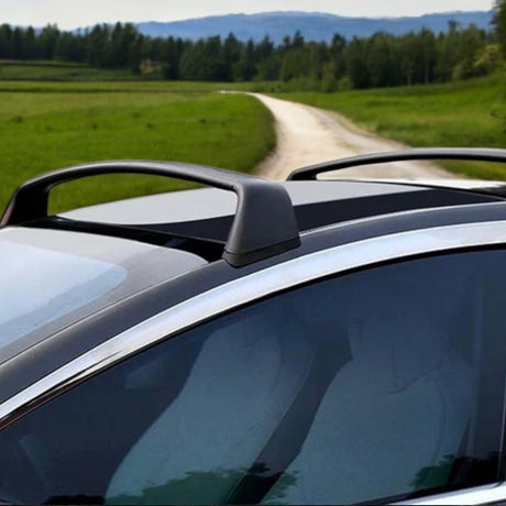 Tagbøjler til Tesla Model 3/Y, vist på bil med grønt landskab.