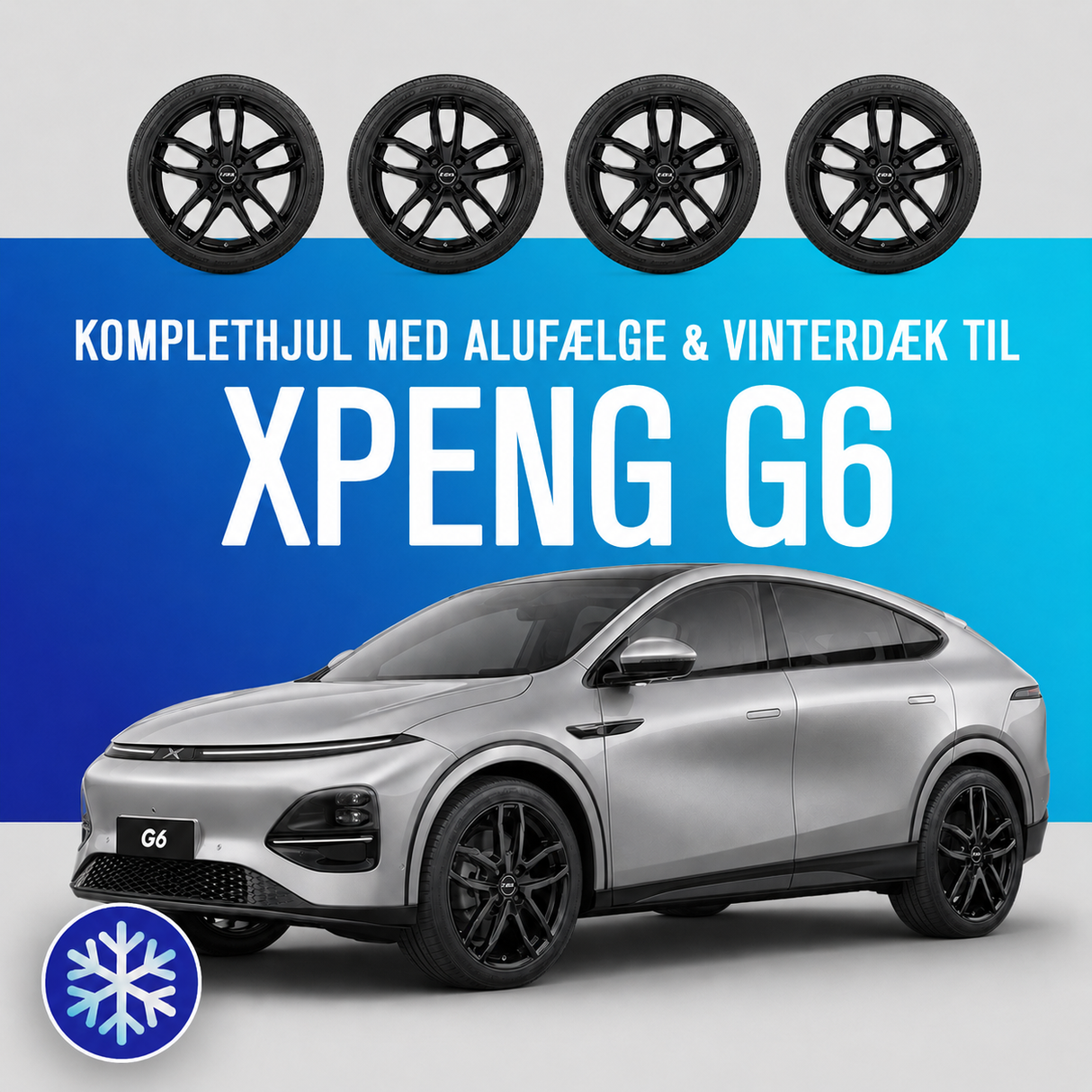 19" komplethjul med vinterdæk - XPENG G6