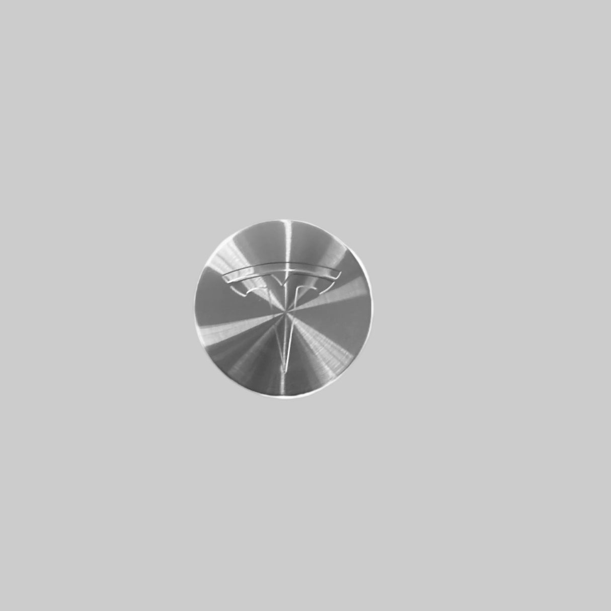 centerkapsel helt stål blank med Tesla logo