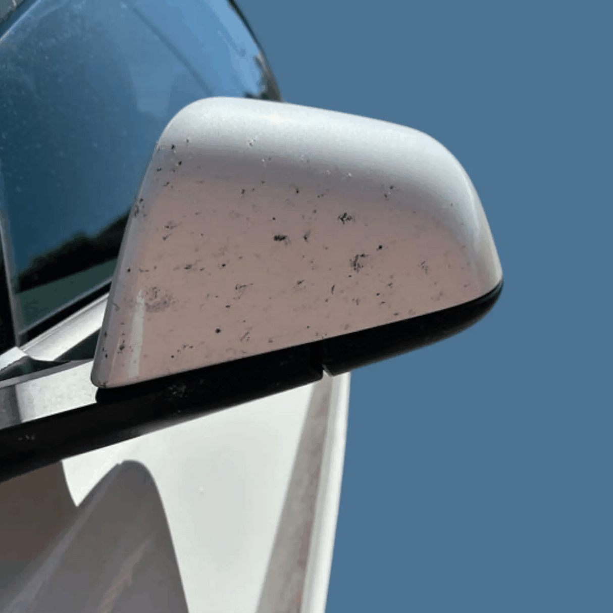 GCG MAX Extreme Insect Remover – 100% biologisk nedbrydeligt