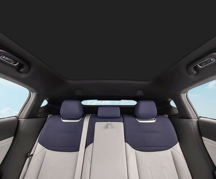 Solafskærmning til taget - Passer til XPENG G6