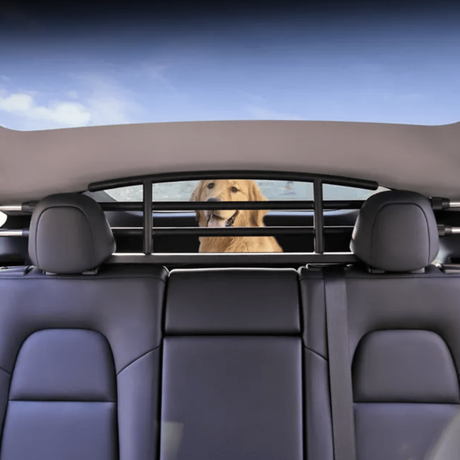 Hundegitter i bagagerummet på en Tesla Model Y med en golden retriever.