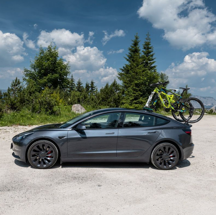 TreeFrog Pro 2 cykelholder