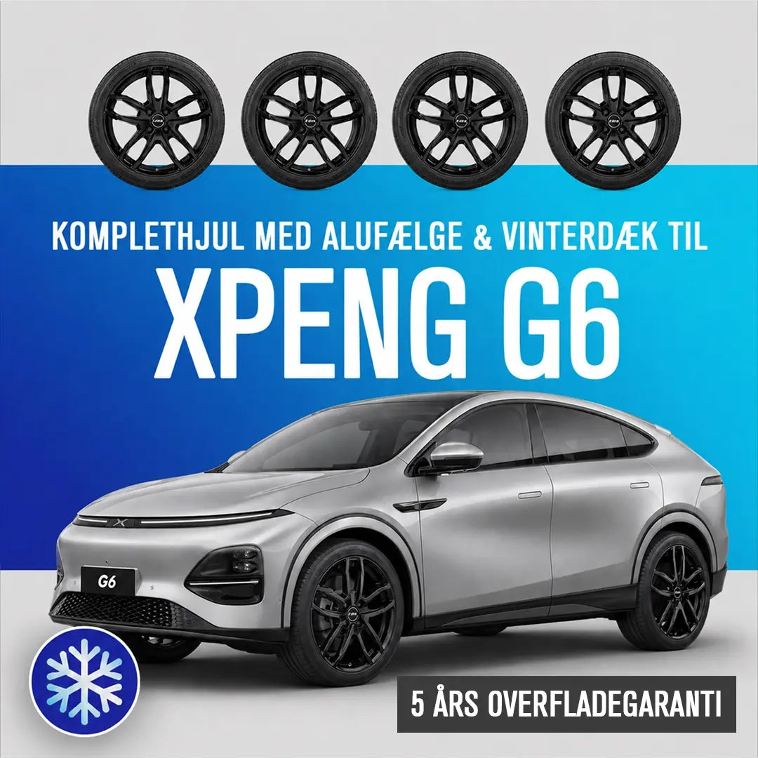 19" komplethjul med vinterdæk - XPENG G6