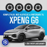 19" komplethjul med vinterdæk - XPENG G6