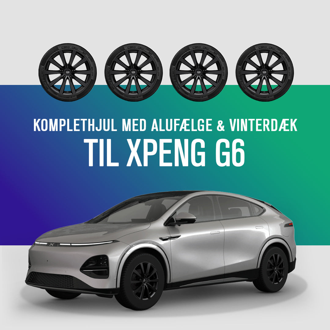 20" Komplethjul med vinterdæk - XPENG G6