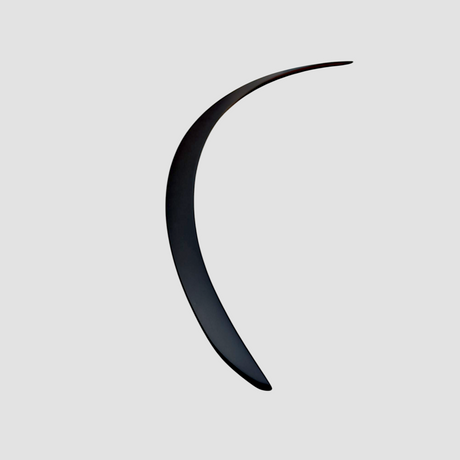 Performance spoiler i mat sort finish – designet til Tesla Model Y Juniper