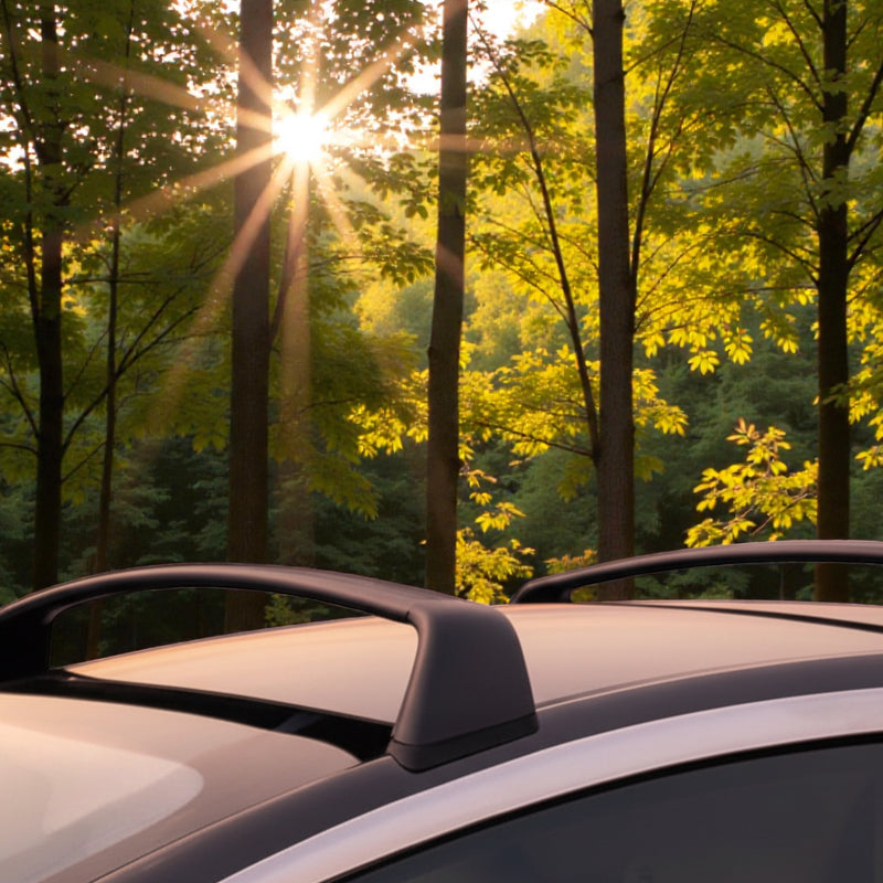 Sorte Tesla tagbøjler monteret på taget af en Tesla, med en skov og sol som baggrund