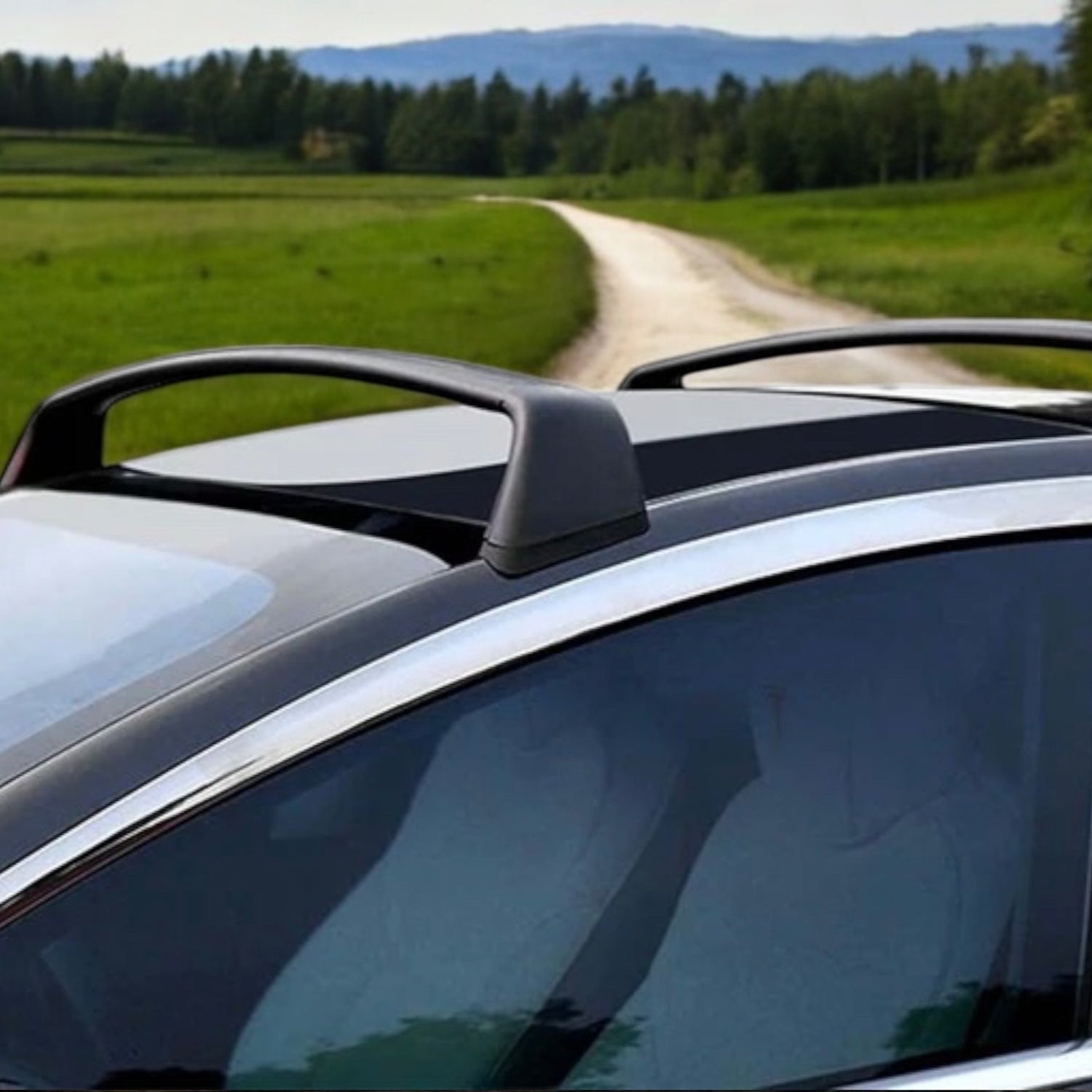 Tagbøjler til Tesla Model 3/Y, vist på bil med grønt landskab.