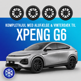 19" komplethjul med vinterdæk - XPENG G6