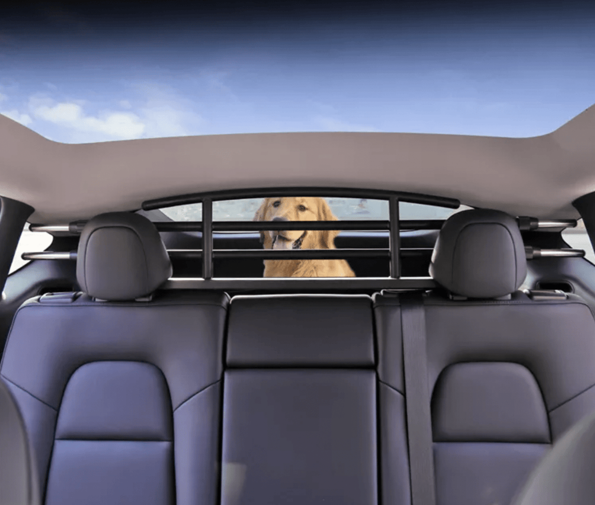 Hundegitter - passer til Tesla Model Y