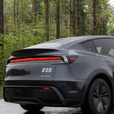 Klistermærke til Tesla med teksten "Love The Car - Not The CEO".