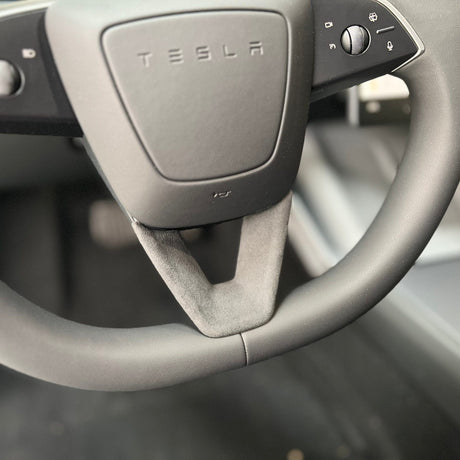 monteret rat beskytter i en tesla