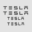 Tesla bogstaver som kan bruges i stedte for logo på bilen 