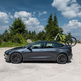 TreeFrog Pro 2 cykelholder